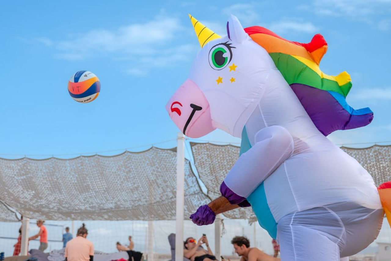 Einhorn prellt Reiseveranstalter Volleytours um 10%